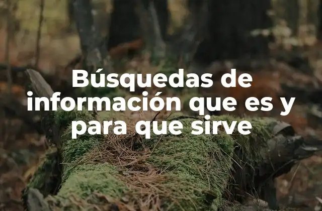 Búsquedas de Información que es y para que Sirve