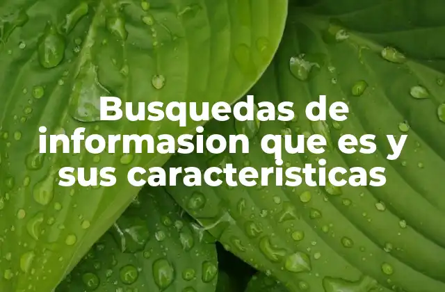 Busquedas de Informasion que es y Sus Caracteristicas