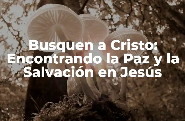 Busquen a Cristo: Encontrando la Paz y la Salvación en Jesús