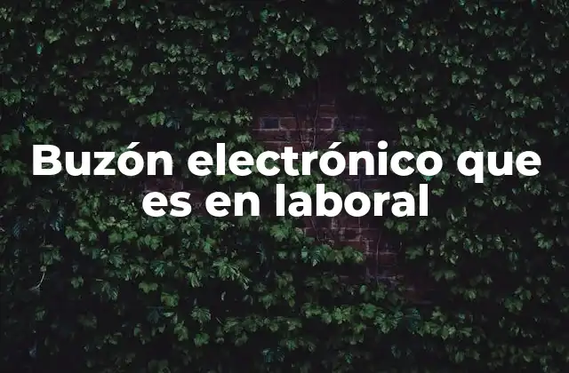 Buzón Electrónico que es en Laboral