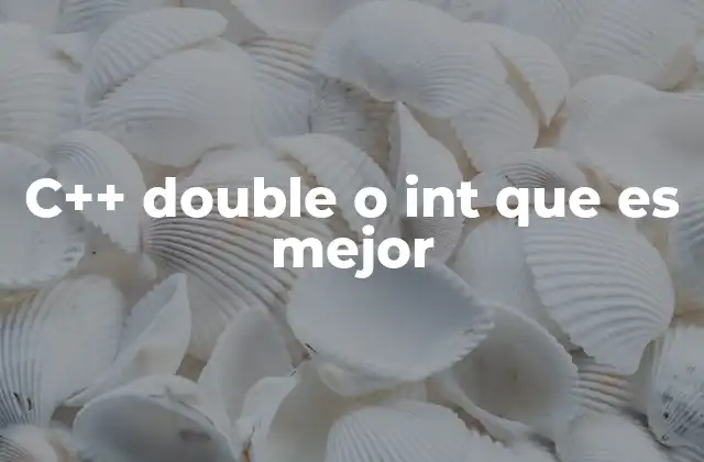 C++ Double o Int que es Mejor