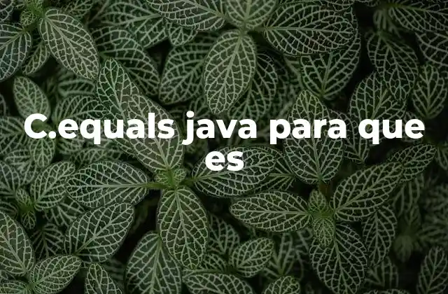 C.equals Java para que es