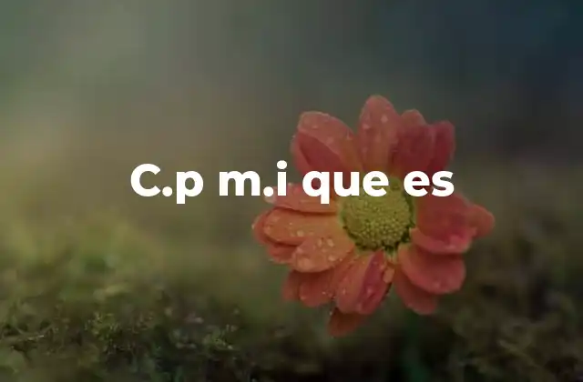 C.p M.i que es 2 El uso del acrónimo en distintos contextos profesionales