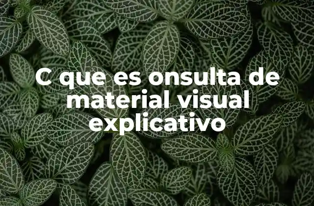 C que es Onsulta de Material Visual Explicativo
