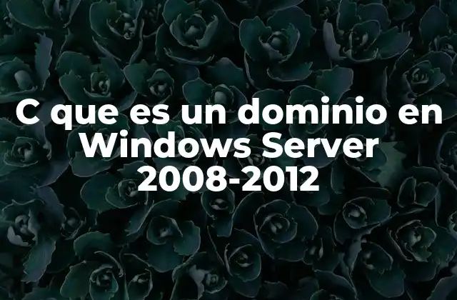 C que es un Dominio en Windows Server 2008-2012