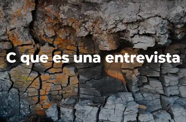 C que es una Entrevista