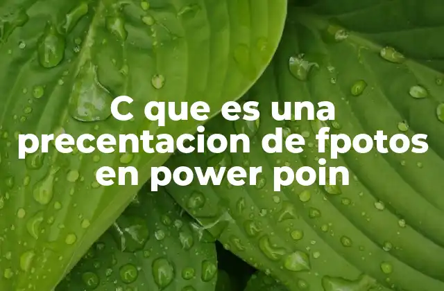 C que es una Precentacion de Fpotos en Power Poin
