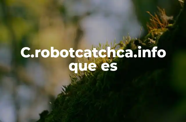 C.robotcatchca.info que es 2 El papel de los dominios como c.robotcatchca.info en la seguridad web