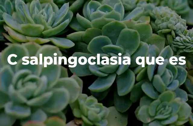 C Salpingoclasia que es