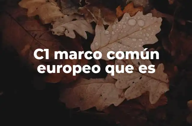 C1 Marco Común Europeo que es