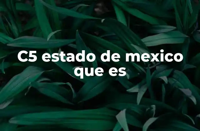 Cómo el C5 mejora la movilidad urbana en la región