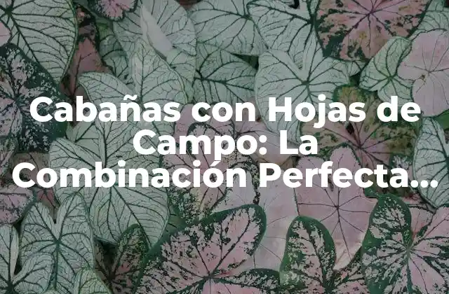 Cabañas con Hojas de Campo: la Combinación Perfecta de Naturaleza y Comodidad