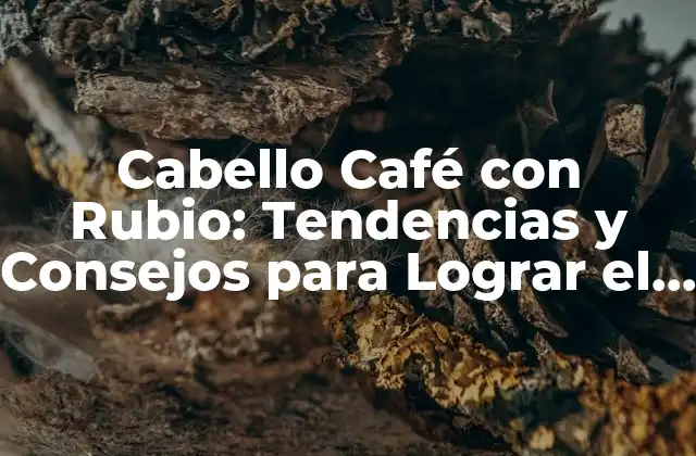 Cabello Café con Rubio: Tendencias y Consejos para Lograr el Look Perfecto