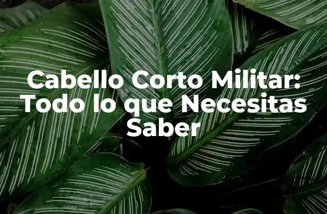Cabello Corto Militar: Todo Lo que Necesitas Saber