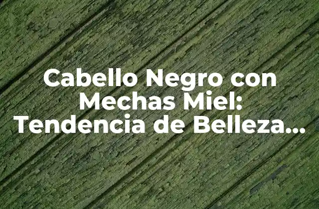 Cabello Negro con Mechas Miel: Tendencia de Belleza que Impera