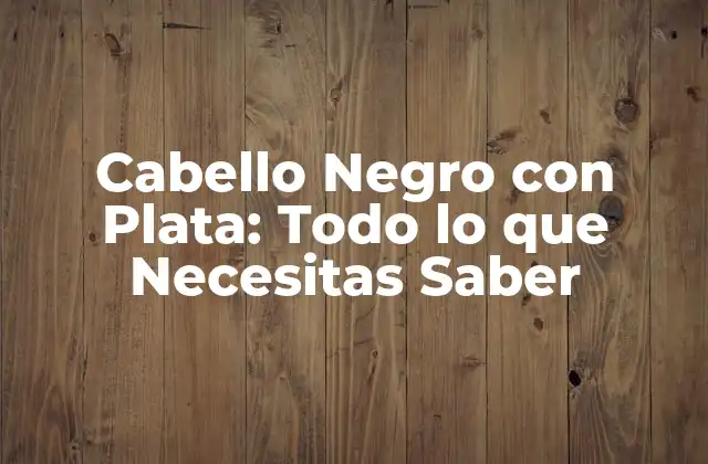 Cabello Negro con Plata: Todo Lo que Necesitas Saber
