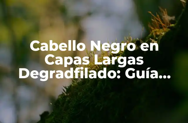 Cabello Negro en Capas Largas Degradfilado: Guía Completa para Lograr un Look Impresionante