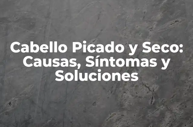 ¿Qué es el Cabello Picado y Seco?