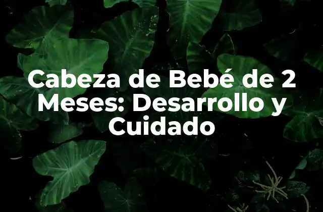 Cabeza de Bebé de 2 Meses: Desarrollo y Cuidado 2 Desarrollo de la Cabeza de Bebé de 2 Meses