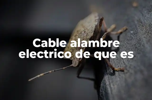 Componentes estructurales de un cable eléctrico