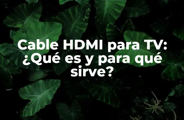 Cable Hdmi para Tv: ¿qué es y para Qué Sirve? 2 ¿Qué es un cable HDMI?