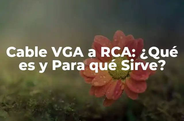 Cable Vga a Rca: ¿qué es y para Qué Sirve?