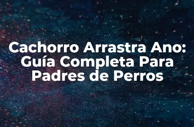 Cachorro Arrastra Ano: Guía Completa para Padres de Perros