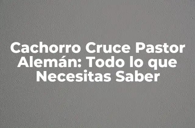 Cachorro Cruce Pastor Alemán: Todo Lo que Necesitas Saber