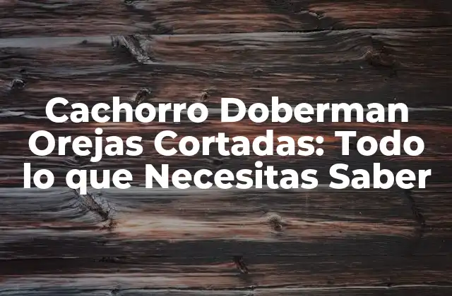 Cachorro Doberman Orejas Cortadas: Todo Lo que Necesitas Saber