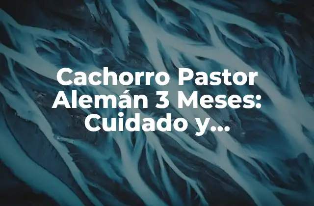 Cachorro Pastor Alemán 3 Meses: Cuidado y Adiestramiento