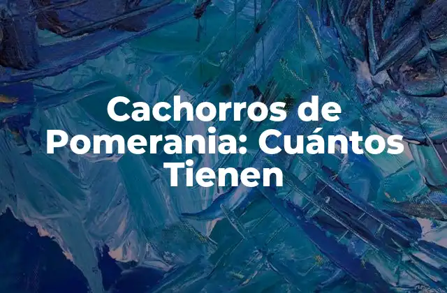 Cachorros de Pomerania: Cuántos Tienen 2 Características de los Cachorros de Pomerania