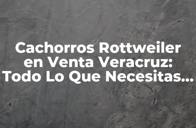 Cachorros Rottweiler en Venta Veracruz: Todo Lo que Necesitas Saber