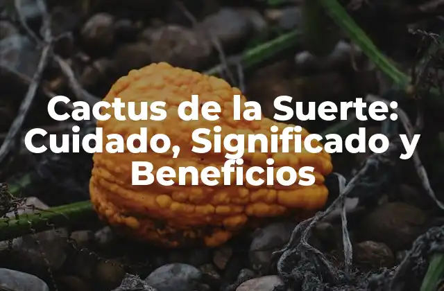 ¿Cómo Cuidar un Cactus de la Suerte?