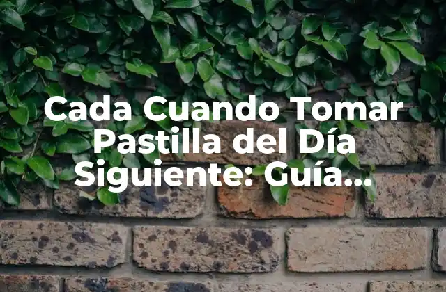 Cada Cuando Tomar Pastilla Del Día Siguiente: Guía Completa y Actualizada