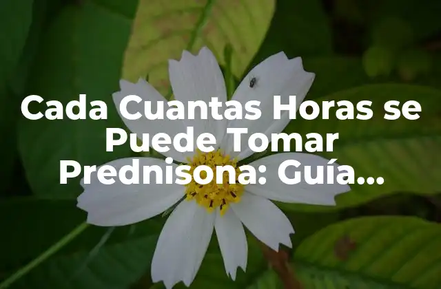 Cada Cuantas Horas Se Puede Tomar Prednisona: Guía Detallada