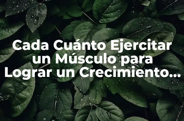 Cada Cuánto Ejercitar un Músculo para Lograr un Crecimiento Muscular Efectivo