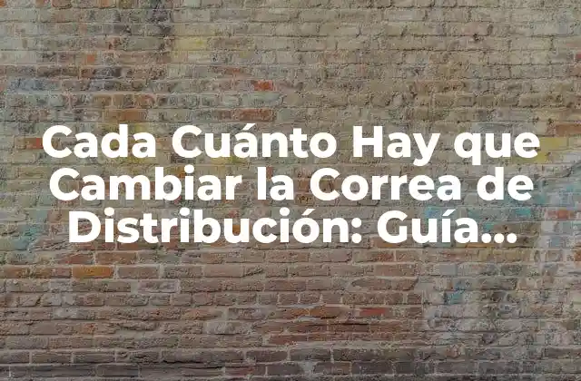 Cada Cuánto Hay que Cambiar la Correa de Distribución: Guía Completa