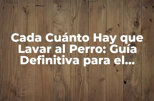 Cada Cuánto Hay que Lavar Al Perro: Guía Definitiva para el Cuidado de Tu Mascota