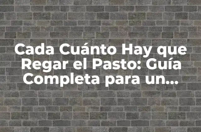Cada Cuánto Hay que Regar el Pasto: Guía Completa para un Césped Saludable