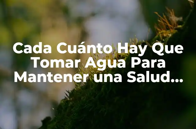 Cada Cuánto Hay que Tomar Agua para Mantener una Salud Óptima