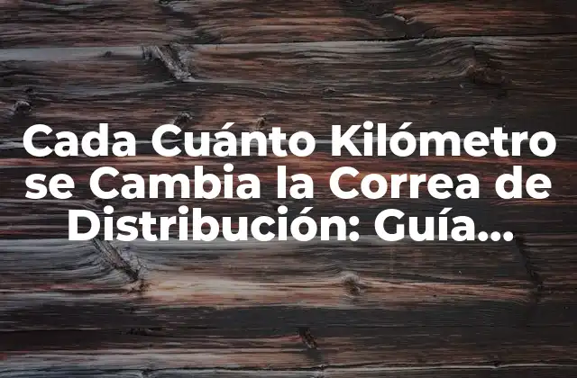 Cada Cuánto Kilómetro Se Cambia la Correa de Distribución: Guía Completa