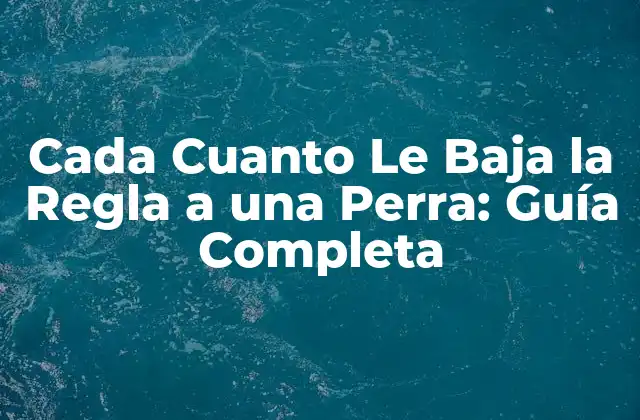 Cada Cuanto Le Baja la Regla a una Perra: Guía Completa