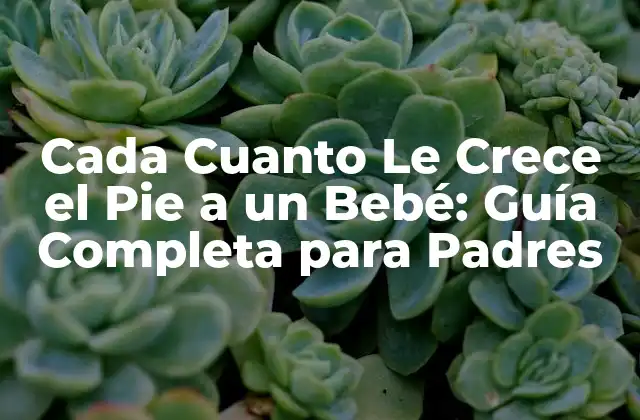Cada Cuanto Le Crece el Pie a un Bebé: Guía Completa para Padres