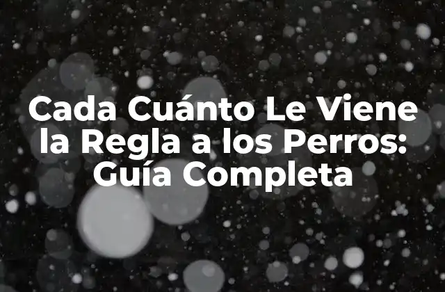 Cada Cuánto Le Viene la Regla a los Perros: Guía Completa