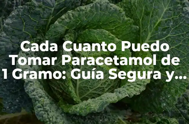 Cada Cuanto Puedo Tomar Paracetamol de 1 Gramo: Guía Segura y Efectiva