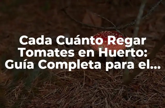 Cada Cuánto Regar Tomates en Huerto: Guía Completa para el Riego Efectivo