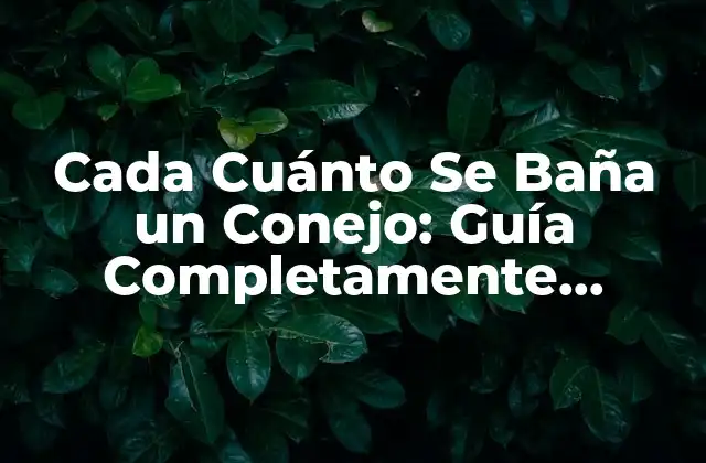 Cada Cuánto Se Baña un Conejo: Guía Completamente Actualizada