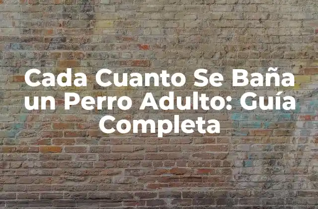 Cada Cuanto Se Baña un Perro Adulto: Guía Completa