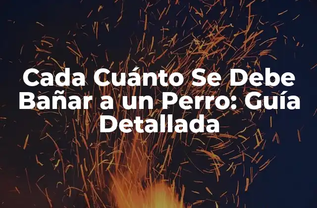 Cada Cuánto Se Debe Bañar a un Perro: Guía Detallada