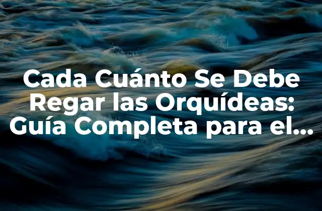 Cada Cuánto Se Debe Regar las Orquídeas: Guía Completa para el Cuidado de Orquídeas
